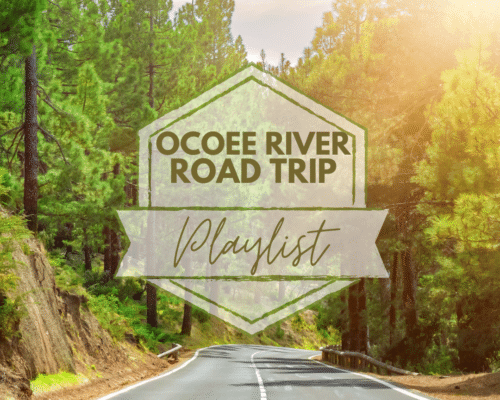 Road Trip to the Ocoee River