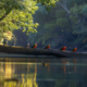 bird watching on the ocoee river