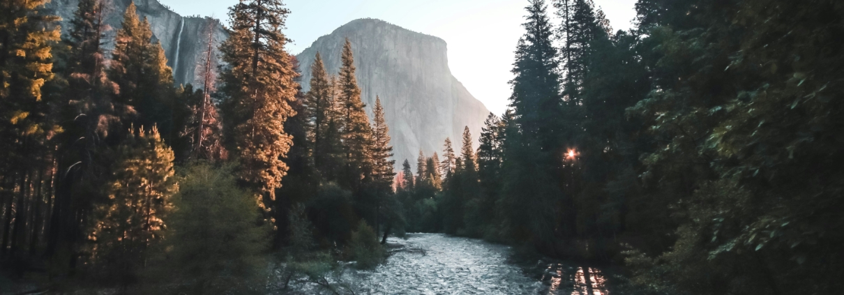 ocoee river rafting guide