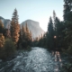 ocoee river rafting guide