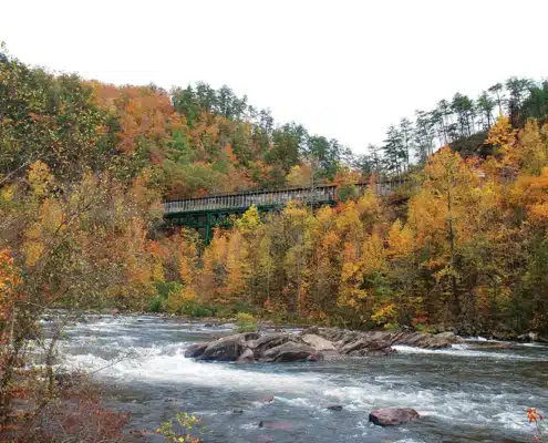 Ocoee River Rafting in the fall