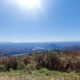 Ocoee River Scenic Views