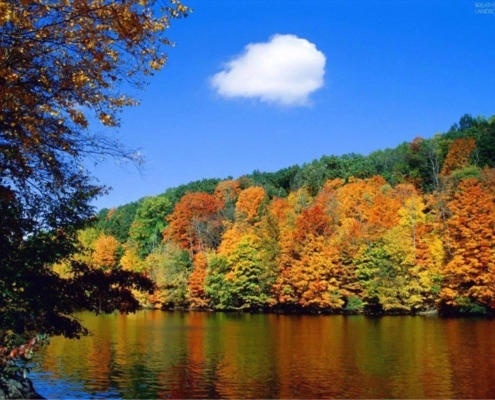 Scenic Fall Views of the Ocoee River