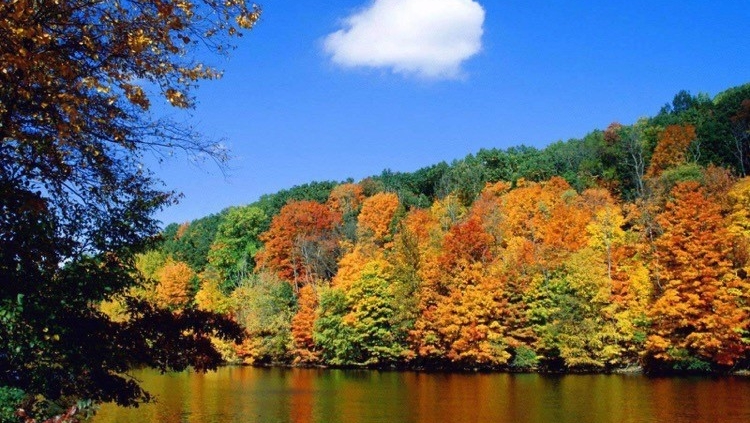 Scenic Fall Views of the Ocoee River