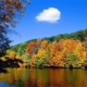 Scenic Fall Views of the Ocoee River