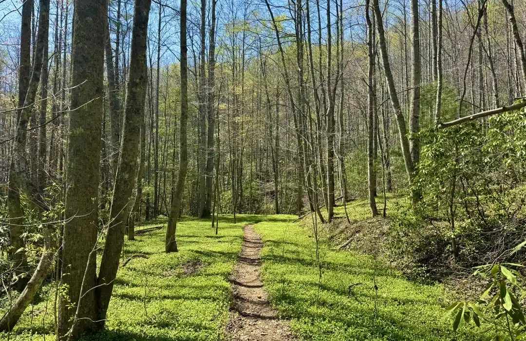 cherokee national forest hike
